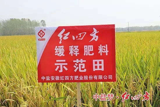 农业部全国农技推广中心与桃子APP官网联手打造的示范试验田便设置在此。