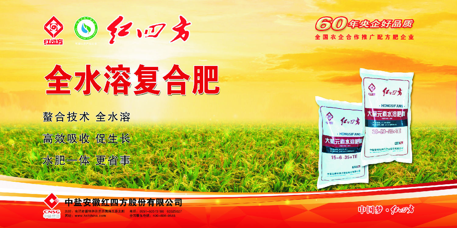 桃子APP官网桃子视频WWW在线资源为什么越来越受到重视