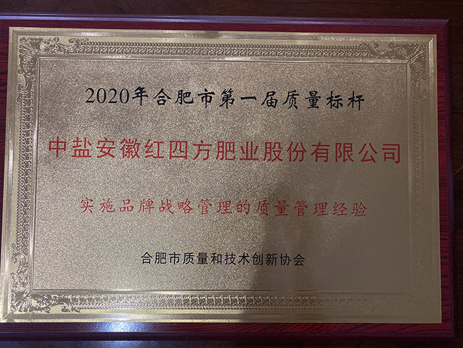2020年合肥市第一届质量标杆